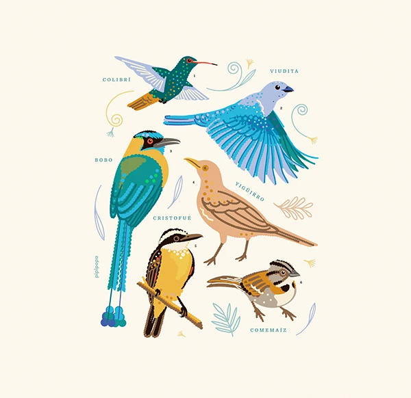 Plate with six city birds and their names